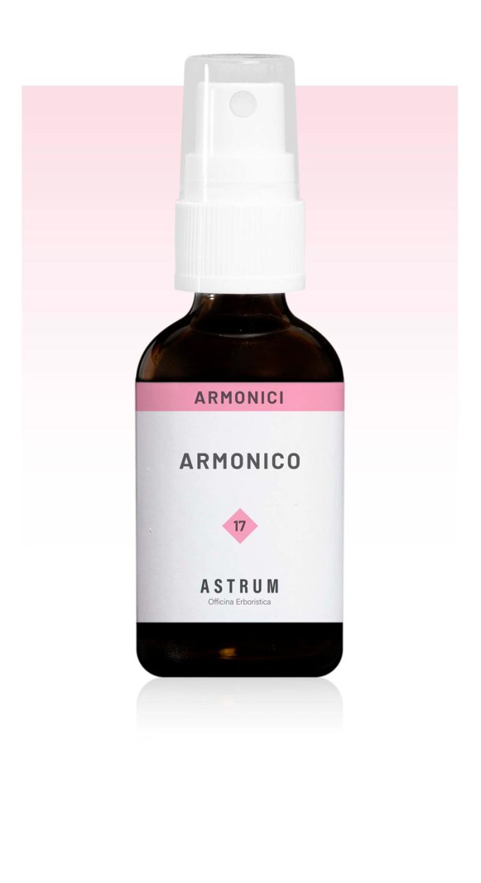 Armonico 17 - immagine 2
