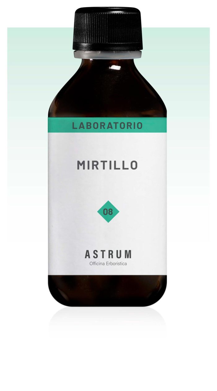 Mirtillo - immagine 2