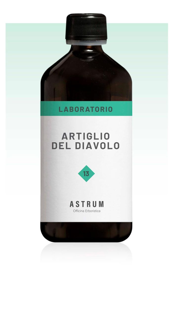 Artiglio del Diavolo - immagine 2