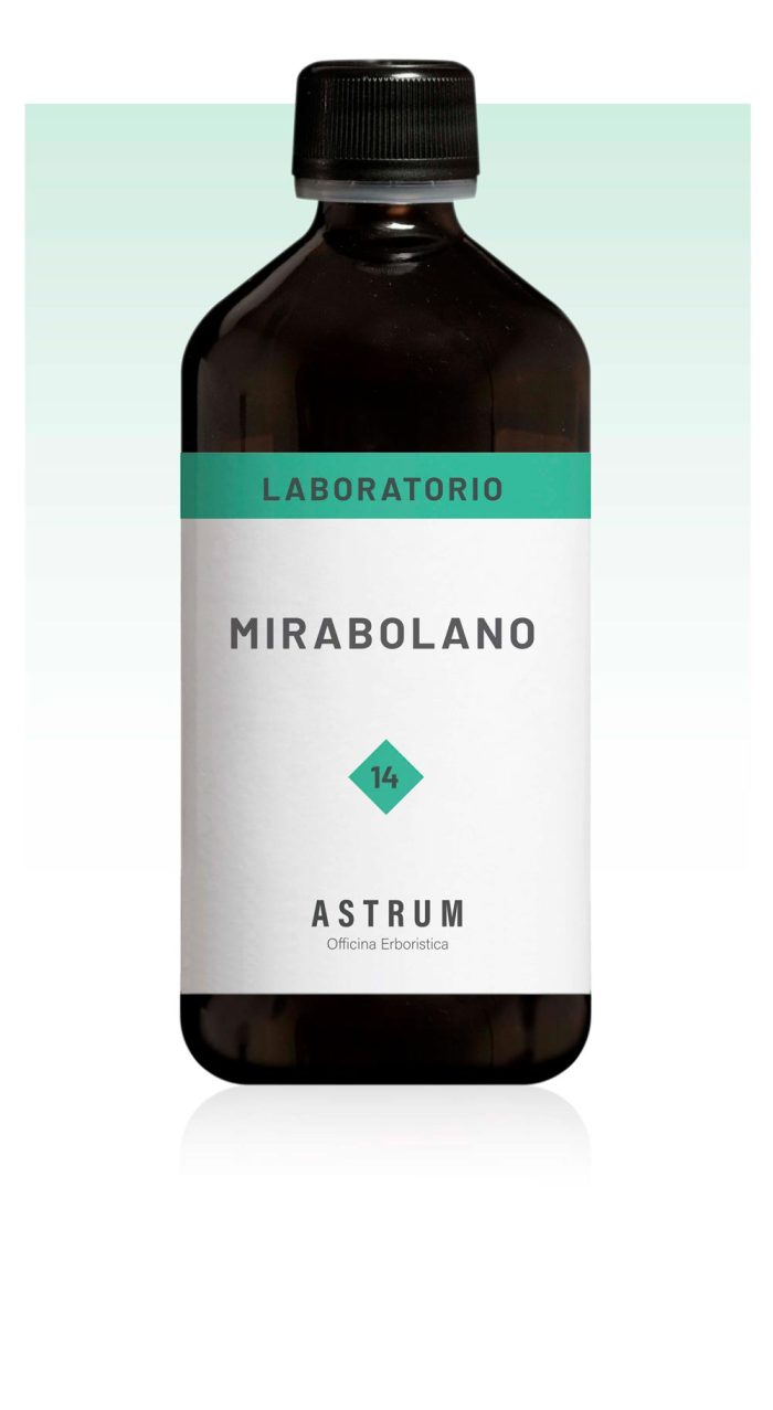 Mirabolano - immagine 2