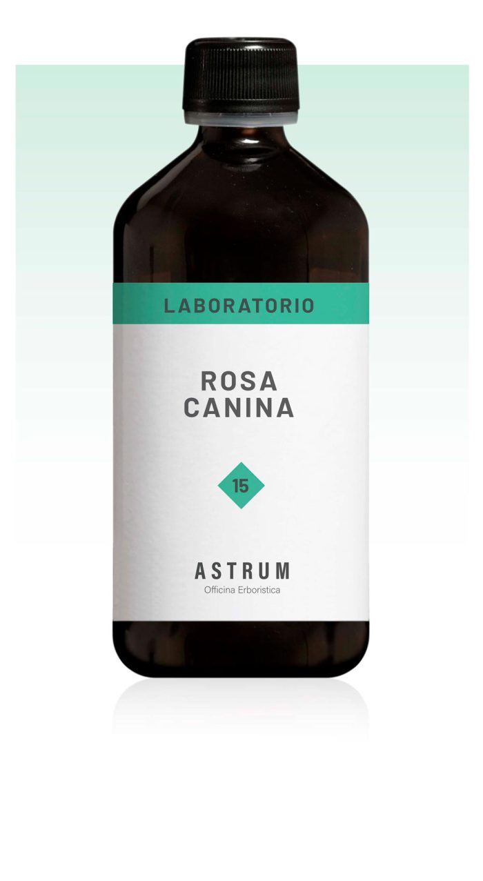 Rosa Canina - Integratore in Gocce Ricco di Vitamina C - immagine 2