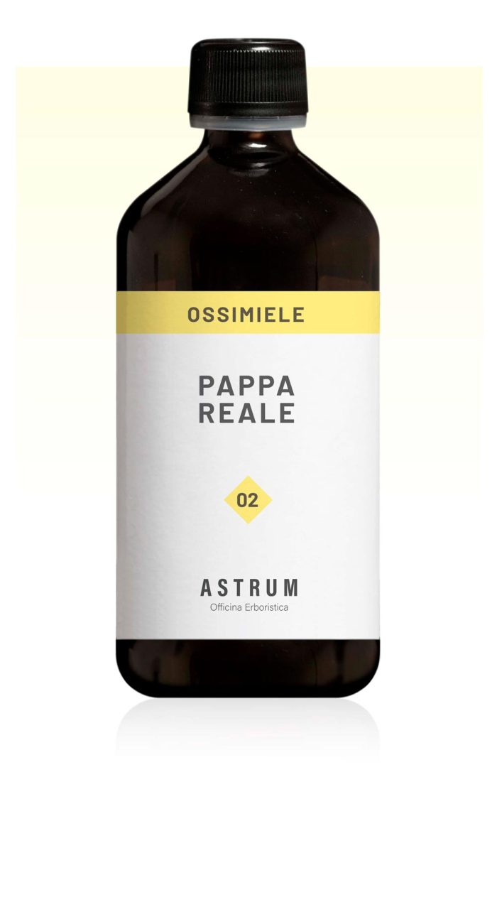 Pappa Reale - immagine 2