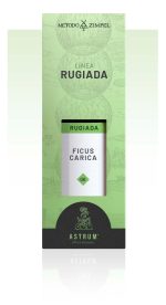 Ficus Carica