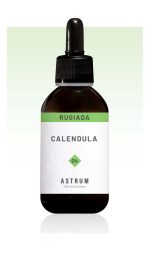 Calendula - immagine 2