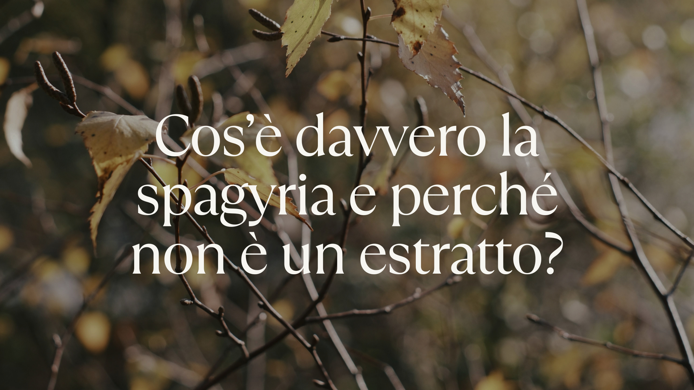 Cos’è davvero la Spagyria?